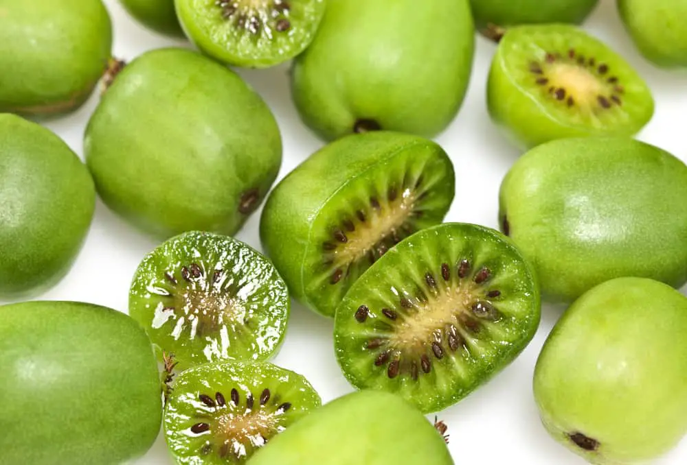 Kiwi Berry (Actinidia Arguta)
