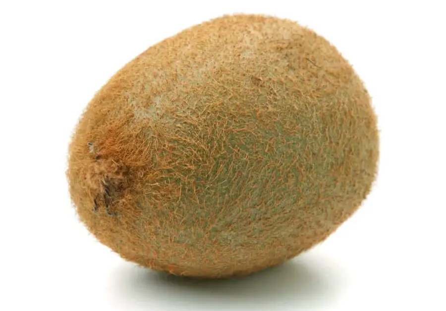 Why Are Kiwis Hairy?